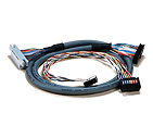 imgcorp01